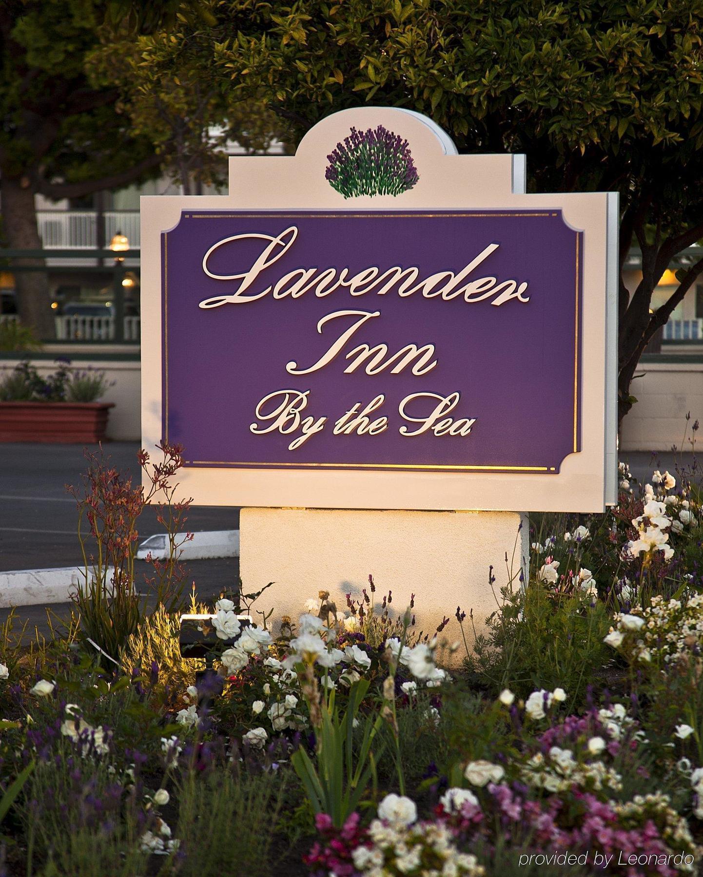 Lavender Inn By The Sea Santa Barbara Dış mekan fotoğraf